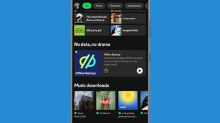 Screen shot of Spotify Offline Backup playlist in the home feed