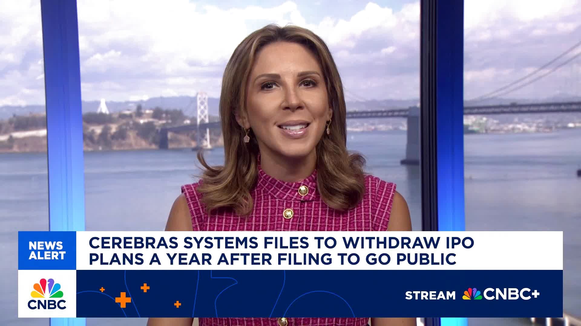 AI chipmaker Cerebras pulls IPO after raising $1 billion