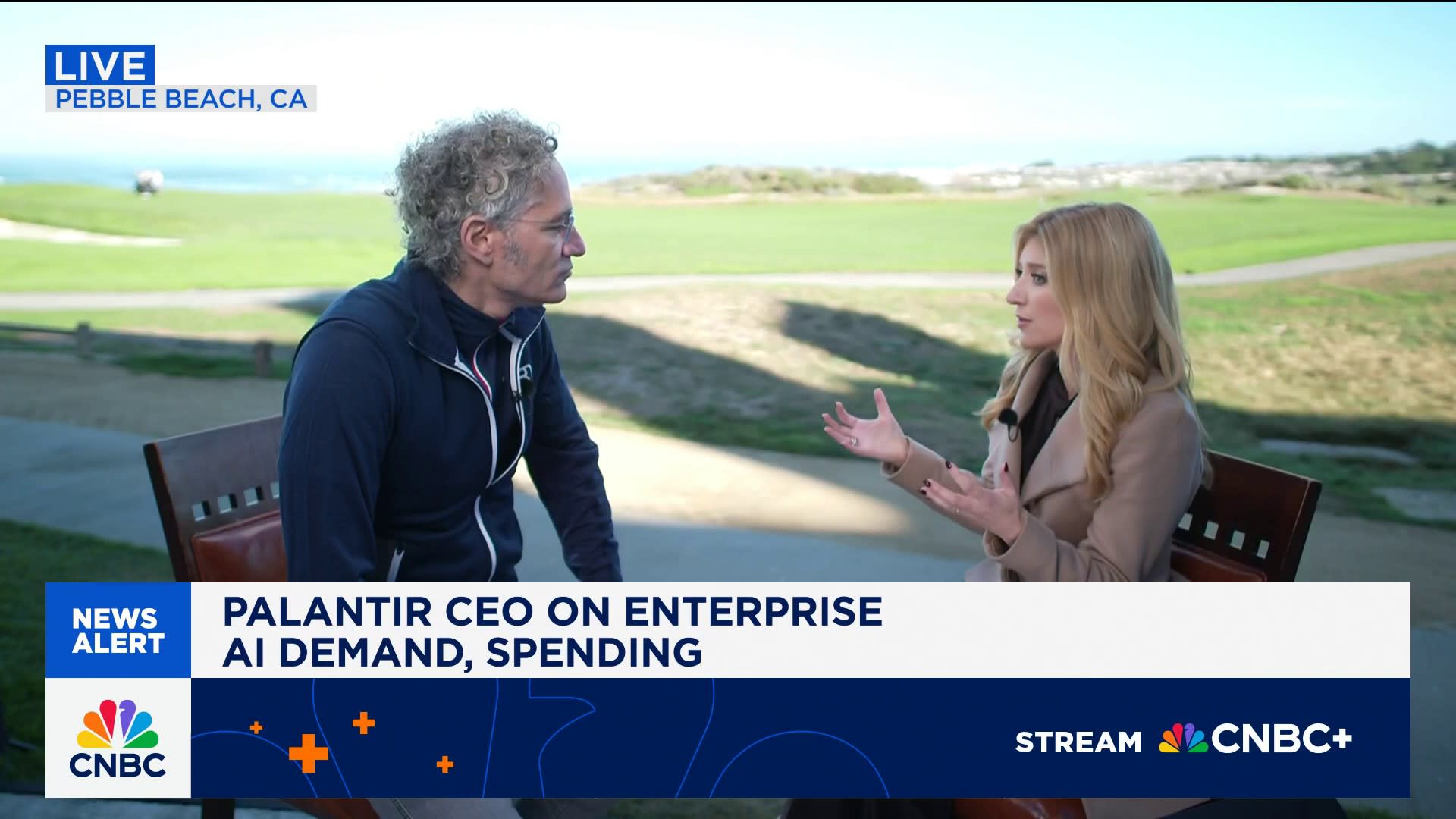 Palantir CEO Alex Karp: We've printed venture results for the average American