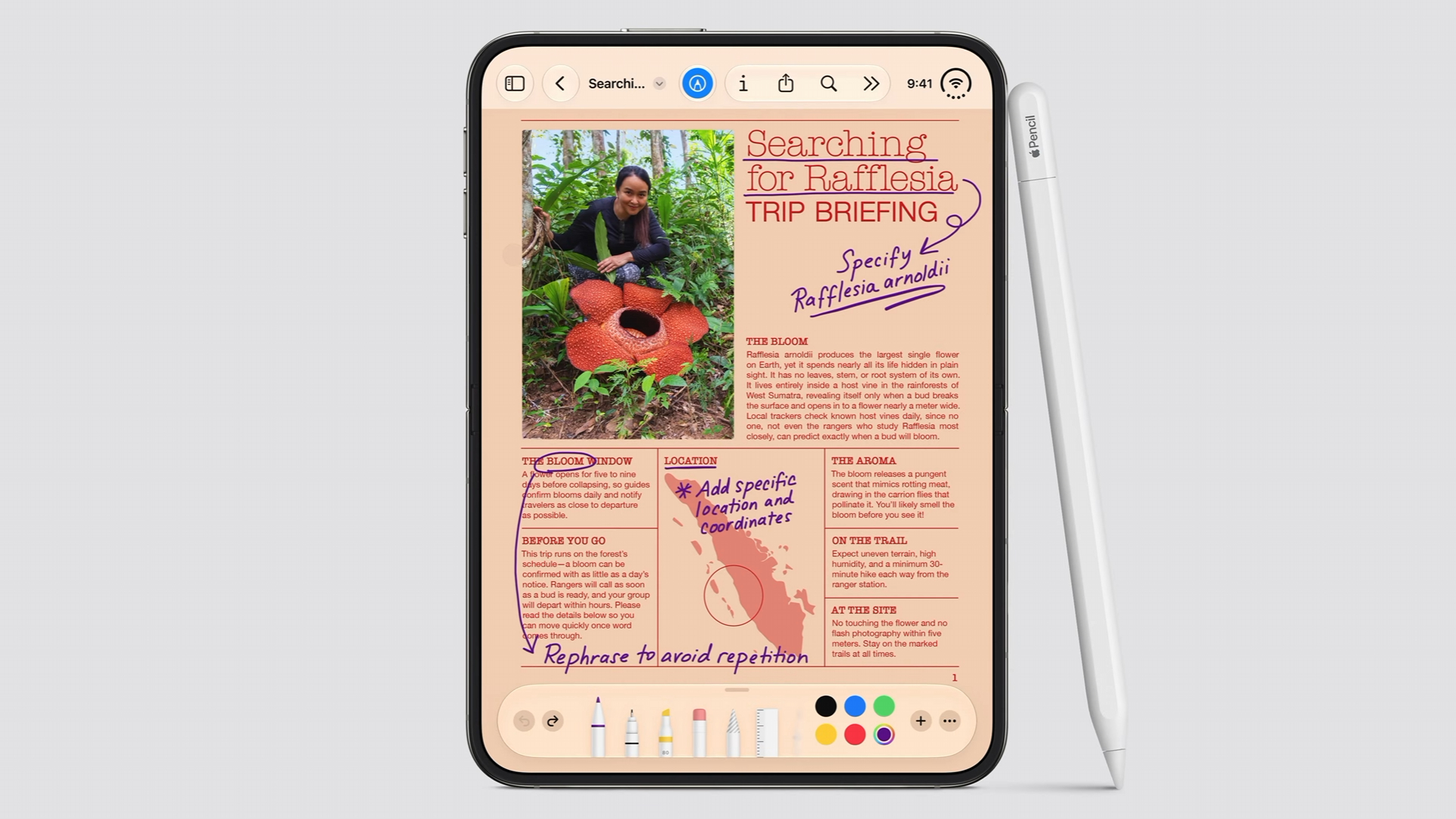 Screenshot from Apple's September 2026 event